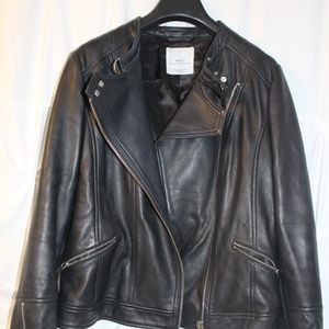 Mango Genuine Sheep Leather Jacket